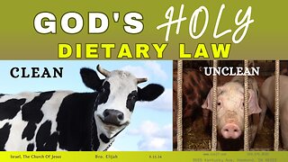 GOD’S HOLY DIETARY LAW