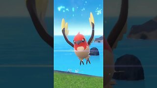 SHINY HUNT - Fletchling, Fletchinder e Talonflame - #shorts