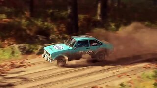 DiRT Rally 2 - Replay - Ford Escort MKII at Tolt Valley Sprint Reverse