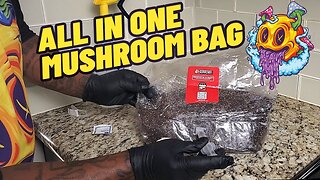 All In One Mushroom Grow Bag Inoculation (My First Time)