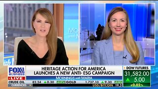 Jessica Anderson talks about the dangers of ESG on Fox Business