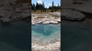 West Thumb Geyser Basin #shorts