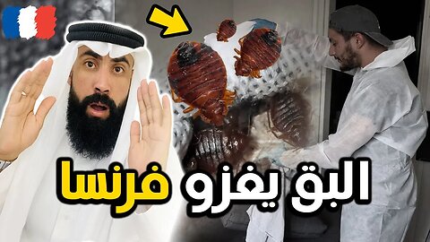 فرنسا تعاني من إنتــشار بقِّ الفراش ... وهل له علاقة بالمهاجرين ! 😮 شاهد عقـ.ـاب الله لفرنسا