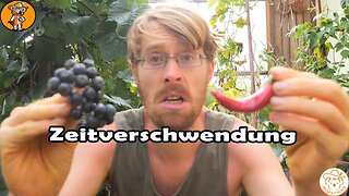 Diese 5 Pflanzen baue ich nicht mehr im Garten an 🙅