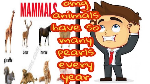 OMG! there are so many deaths every year because of animals