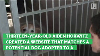 A 13-Year-Old Made a Website that Helps Match You with the Perfect Shelter Pet