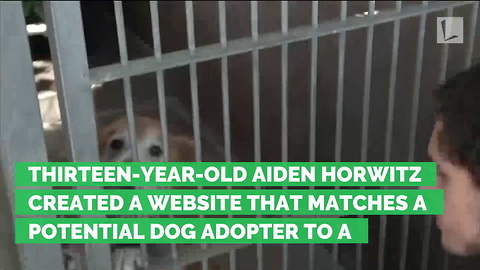 A 13-Year-Old Made a Website that Helps Match You with the Perfect Shelter Pet