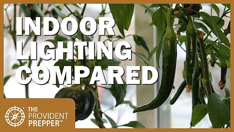 Growing Peppers Indoors: Best Lighting Options for Inside Your Home