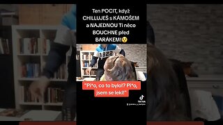 Ten POCIT, když CHILLUJEŠ s KÁMOŠEM a NĚCO Ti BOUCHNE před BARÁKEM! #funny #shorts #viral