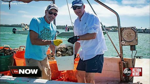 Anna Maria Island business owners using more than 100,000 clams to fight red tide outbreaks