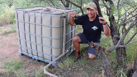 Rainwater Harvesting with IBC Tote and Tarp - Wildlife Waterer
