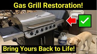 Restoring a 5 Year Old BBQ Grill