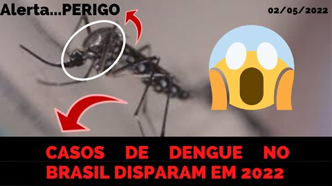 BRASIL ENCERRA O MES DE ABRIL DE 2022 PERTO DO TOTAL DE CASOS DE DENGUE DE TODO ANO DE 2021