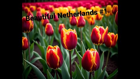 Beautiful Netherlands #1