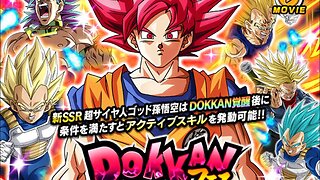 DOKKAN BATTLE JP SUMMONS SAYIN DAY GODKU!!! FINALLY ZENOOOO!!! #dokkanbattlejp