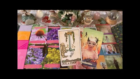 Aquarius ♒️ “You’re Seeing The Truth About This! 3rd Eye Open! April Tarot & Oracle Reading. 🥀🌺🥀