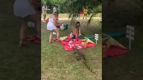 When your picnic gets disturbed by nature!!!!