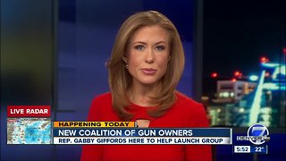 New Colorado coalition of gun owners