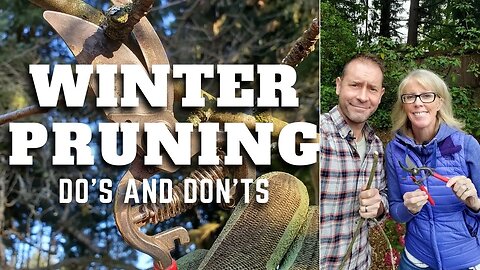 🌳✂ Winter Pruning Do's and Don'ts | Winter Pruning ✂🌳