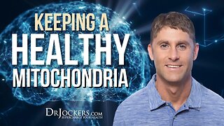 Keeping A Healthy Mitochondria