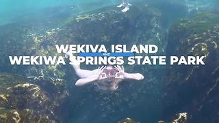 Wekiva Island & Wekiwa Springs State Park