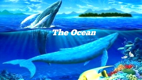 The ocean | amazing view of under water, under water animals, 4k under footages plus music.