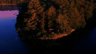 Adirondack Bushcraft: Lean-to Camp. Camping in ADK Lean-to Shelter. Backpacking #Shorts