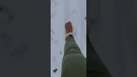 vlogmas snow walks