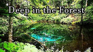 The Secret Nature in Northern Japan, Hokkaido // Japan Travel Guide