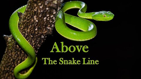 Rise Above the Snake Line (April 22, 2017)