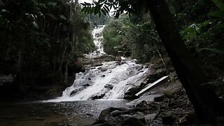 Fall Asleep to River Flow in Forest [ Nature Sound | HD | Meditate ]