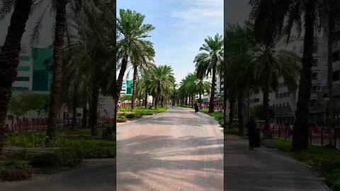 Walking around Al Muteena Dubai #skateweaver #walking #travel #shorts #viral