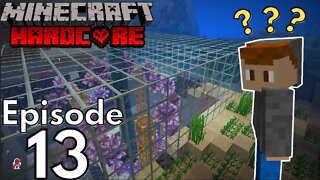 Hardcore Minecraft : Ep13 "Weird Amethyst Farm"