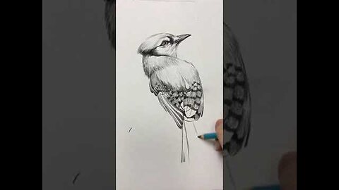 Amazing Pencil Drawing 3D Art | Satisfying Drawing Videos #23