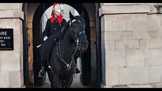 Horse gets spooked by by workmen taking Down speakers used on remberence Sunday #horseguardsparade