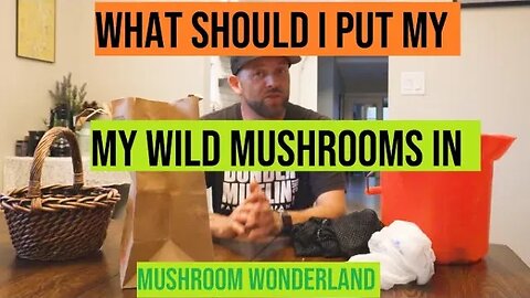 What should I put my wild mushrooms in?