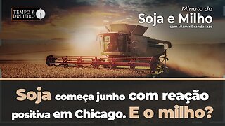 Soja começa junho com reação positiva em Chicago. E o milho? Brandalize comenta