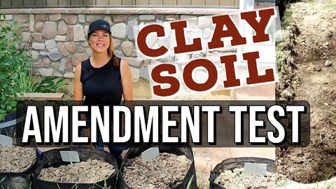 Clay Amendments Explained- Part 1
