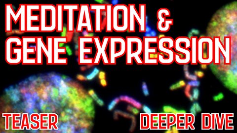 Meditation & Gene Expression | Exclusive Content Teaser