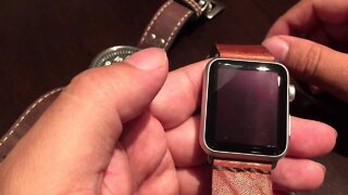 The one problem with the Apple Watch