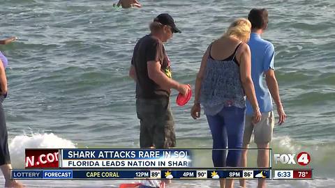Experts say bull sharks call Southwest Florida home