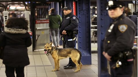 New York City to send 800 more officers to police subway fare- beating