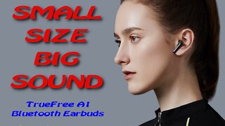 TrueFree A1 Bluetooth Earbuds