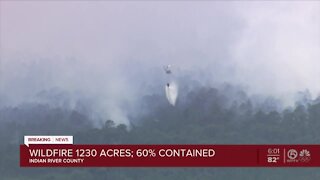 Tree Frog Wildfire in Indian River County 60% contained