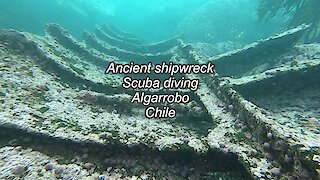 Scuba diving ancient shipwreck at Canelillo beach, Algarrobo, Chile