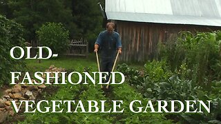 The Vegetable Garden - The FHC Show, ep 16