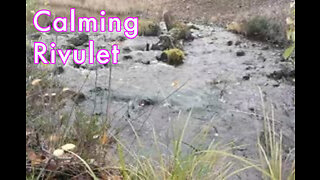 Sleep Sounds Calming Rivulet for Relaxation