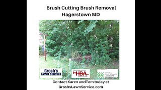 Brush Cutting Hagerstown MD Landscape Contractor