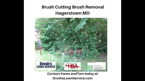 Brush Cutting Hagerstown MD Landscape Contractor