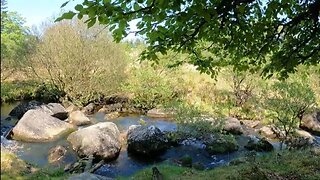 riverside vlog. wildcamp Dartmoor 24th May 2023